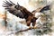 Eagle Action watercolor :: \\\
