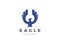 Eagle bird Logo abstract . Flying Falcon Hawk Phoenix