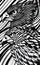 Eagle-Black and white line art for coloring. generative AI