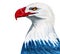 Eagle colored in american flag colors hand drawn illustrations isolatedon white with clipping path