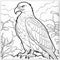 Eagle Coloring Sheets For Kids: Free Download, Realistic Impression