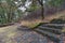 Eagle Creek Overlook Hiking Trail in Oregon