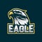 Eagle esport gaming logo design. Eagle head logo emblem design with yellow outline