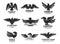 Eagle or falcon black silhouettes for branding