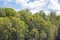 Eagle Feeding in Langkawi island Mangrove tour