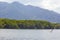 Eagle Feeding in Langkawi island Mangrove tour