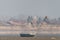 An eagle fisherman flying and searching for his prey, a boat on a dry lake