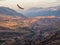 Eagle flies over a mountain valley. Colorful sunny morning landscape with silhouettes of big rocky mountains and epic deep gorge