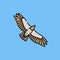 Eagle flight line icon