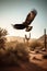 Eagle flying over Saguaro National Park, Arizona, USA