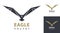 Eagle flying vector. Eagles logo design. Modern style