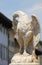 Eagle fountain in Trento, Italy