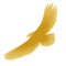Eagle, gold emblem design. Vector cartoon illustration