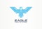 Eagle, hawk spread wings falcon creative symbol concept. Predator emblem, wildlife abstract business logo idea. Bird in