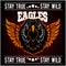 Eagle head logo Template, Hawk mascot graphic