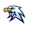 Eagle Head Mascot Sports Team Logo