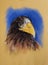 Eagle head pastel drawing