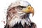 Eagle Headshot watercolors, patriotio Blad Angle combinded with American flag.