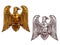 Eagle heraldic symbol. Sketch and gold bird