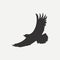 Eagle icon. Logo template. Bird of predator. Vector.