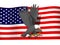 Eagle infront USA flag