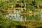 Eagle Lake Everglades Habitat --Naples, FL