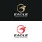 Eagle logo. Hawk silhouette logotype. Bird of pray vector logo template.