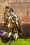 Eagle owl against Muiderslot castle. Holland.