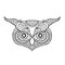 Eagle owl head. Adult antistress coloring page