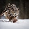 Eagle owl hunts, eagle owl caught prey in the snow, bird of prey