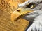 Eagle portrait closeup symbol american constitution