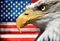 Eagle portrait closeup symbol usa or us stripes and stars flag