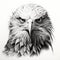 Eagle Portrait Tattoo Drawing On White Background - Realistic Art