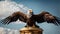 Eagle\\\'s Embrace: Strength and Freedom Captured in the Blue Horizon