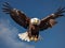 Eagle\\\'s Embrace: Strength and Freedom Unleashed Against the Blue Horizon