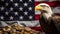 Eagle with several gold coins usa flag background