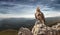 An eagle sits on a stone in the mountains