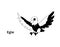 Eagle skater Fish isolated vector Silhouettes