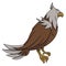 Eagle Standing Forward Color Illustration