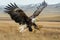 eagle swooping down towards the grasslands with claws outstretched