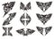 Eagle symbols in tribal style. Black on the white