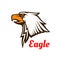 Eagle vector emblem. Hawk graphic symbol