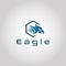 Eagle vector logo design template
