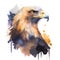 Eagle watercolor illustration. Hand drawn bird on white background.