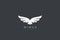 Eagle Wings Logo design vector template. Luxury corporate heraldic flying Falcon Phoenix Hawk bird Logotype concept icon