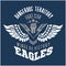 Eagle wings - military label, badges and design