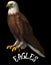 Eagles , animal art