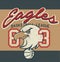 Eagles Basketball league jersey print