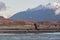 Eagles on the Chilkat River