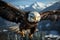 Eagles close up Aerial prowess showcased in both flight and landing